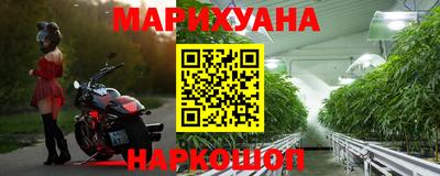 индика Кандалакша