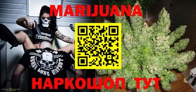 индика Кандалакша